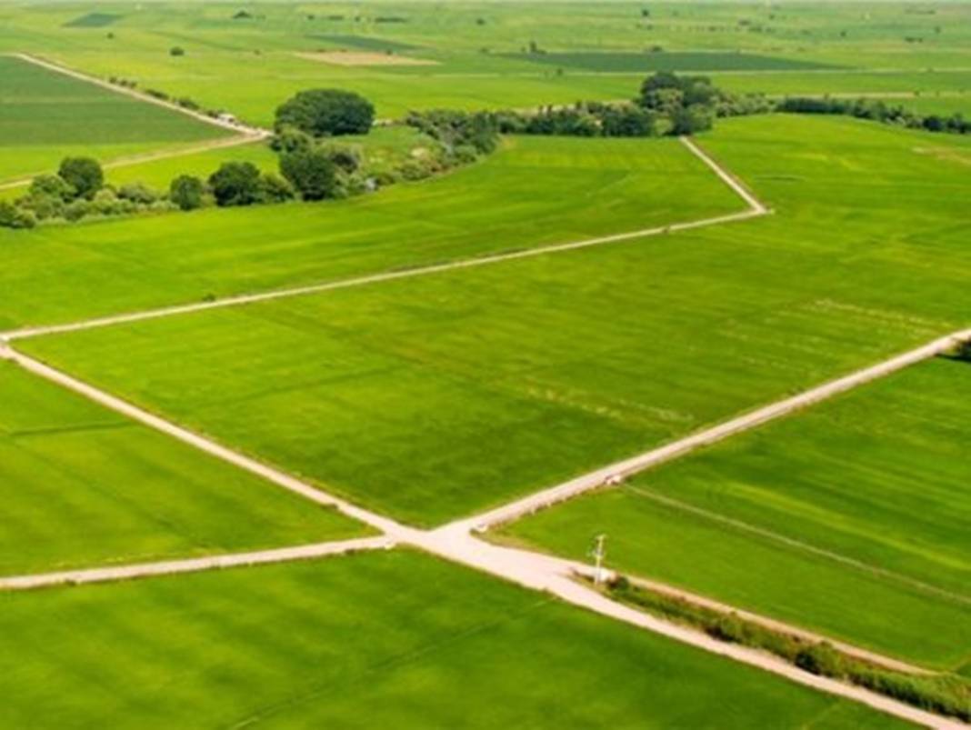 Türkiye'den karış karış tarım arazisi alan Bill Gates açıkladı! Türkiye'den arazi almasının nedeni bakın ne çıktı... 6